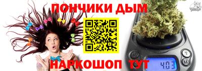 шишки Будённовск