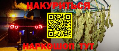 шишки Будённовск