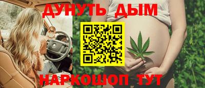 шишки Будённовск